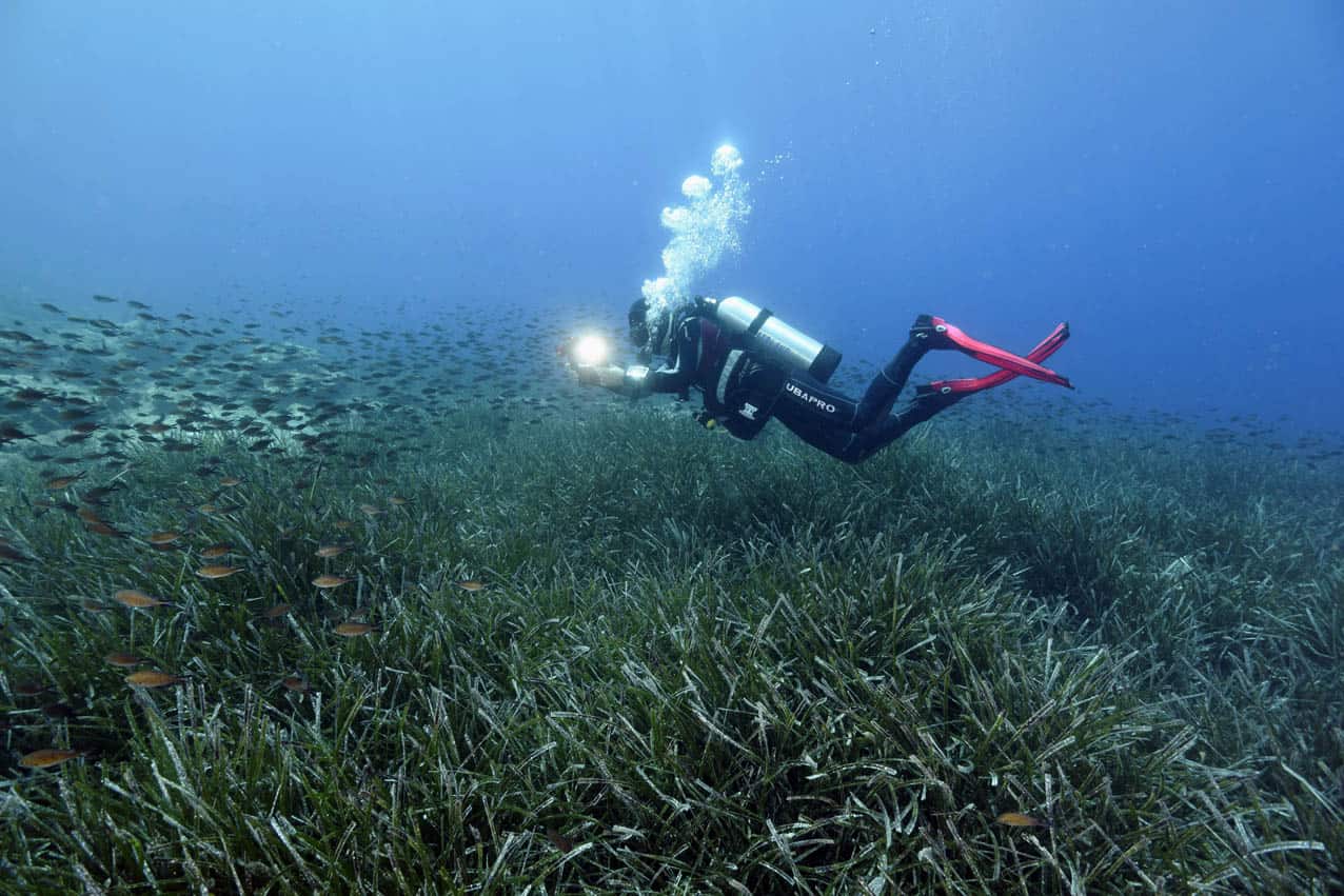 TUI Sea the Change Turkey2