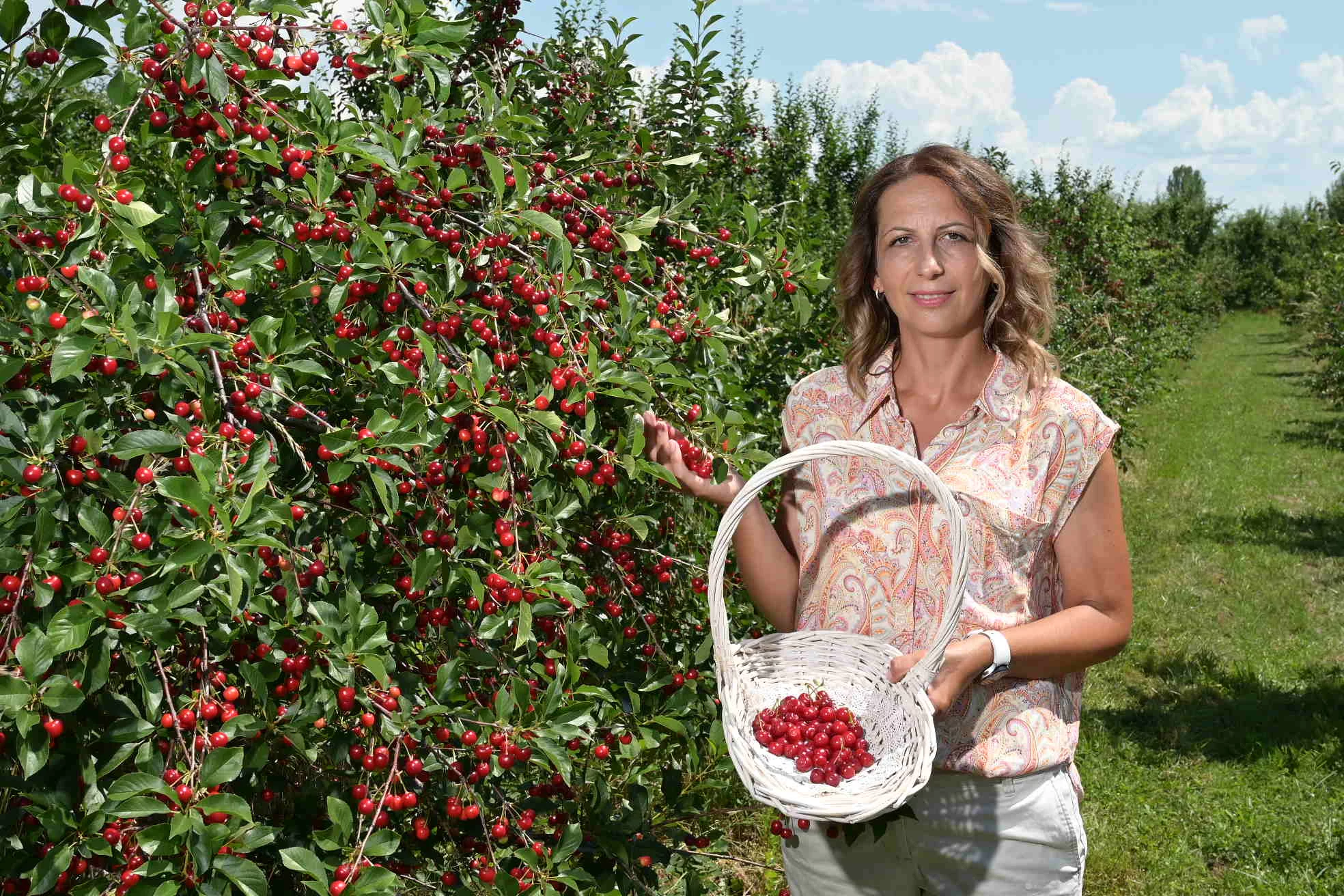 TUI Field to Fork Western Balkans – Ana Labor in her apple orchard at Spirit of Prespa, one of the particiating businesses