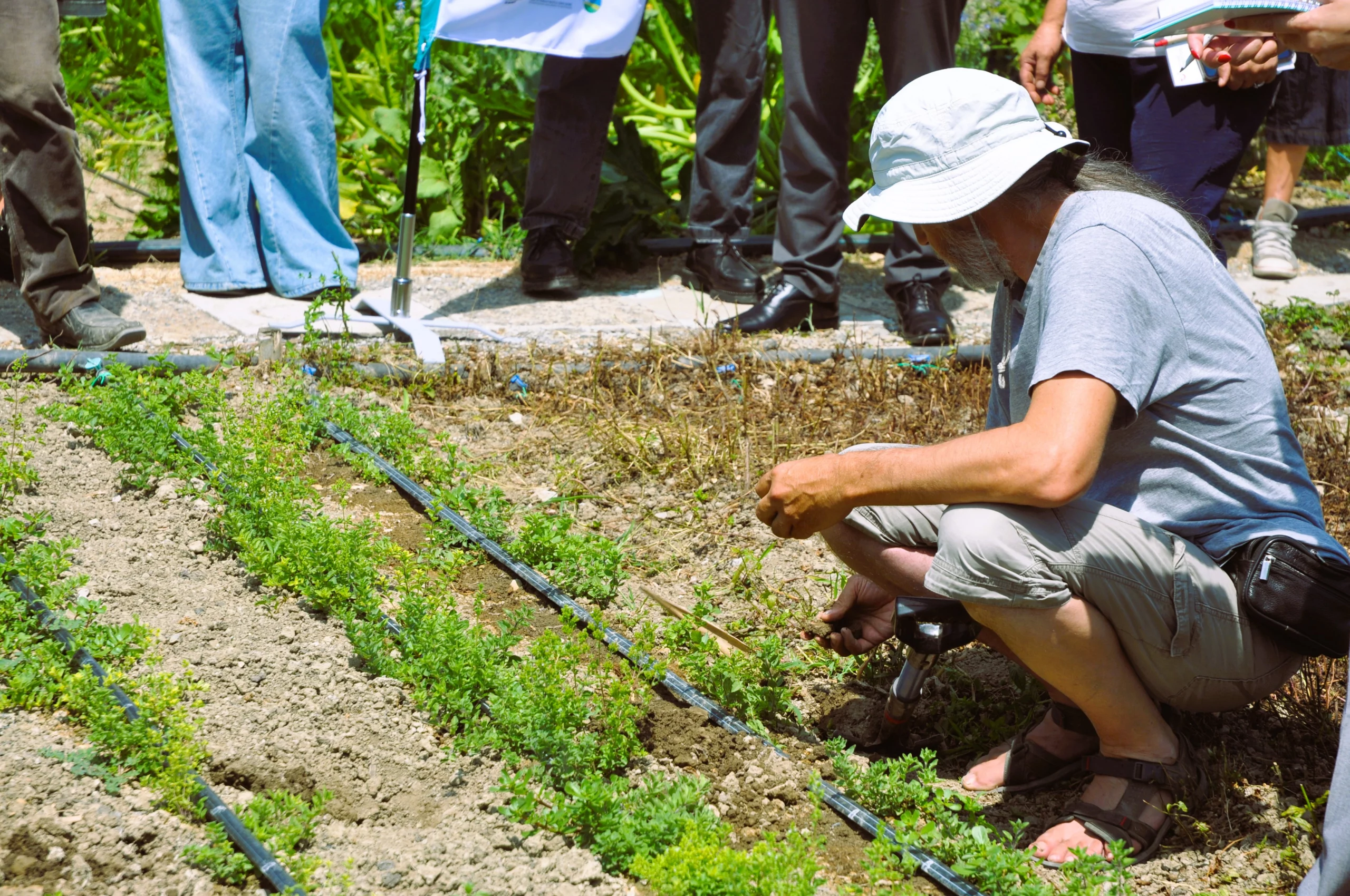TUI Field to Fork Western Balkans – learning about regenerative agriculture practices