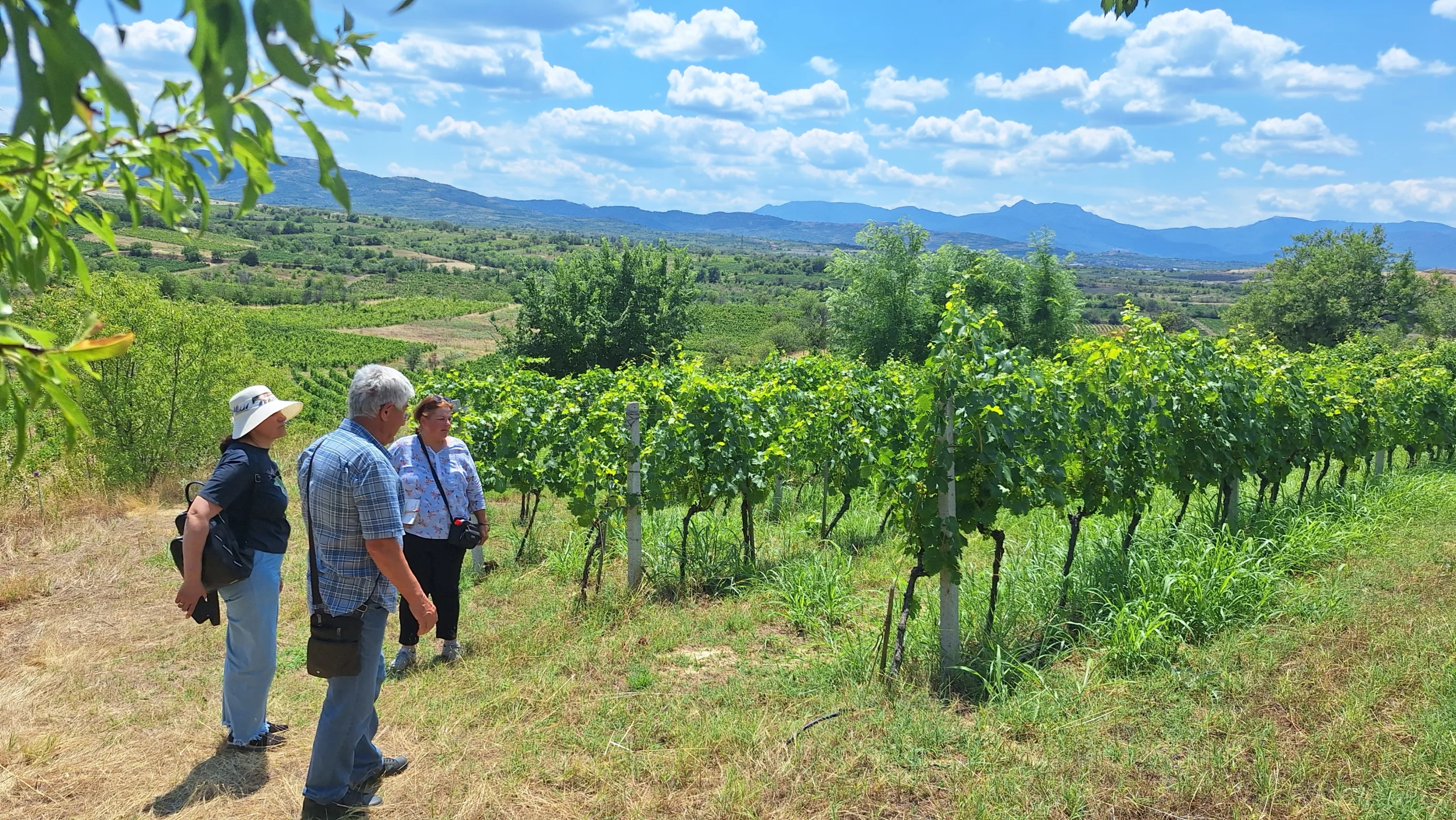 TUI Field to Fork Western Balkans – supporting transition to regenerative agriculture across three countries