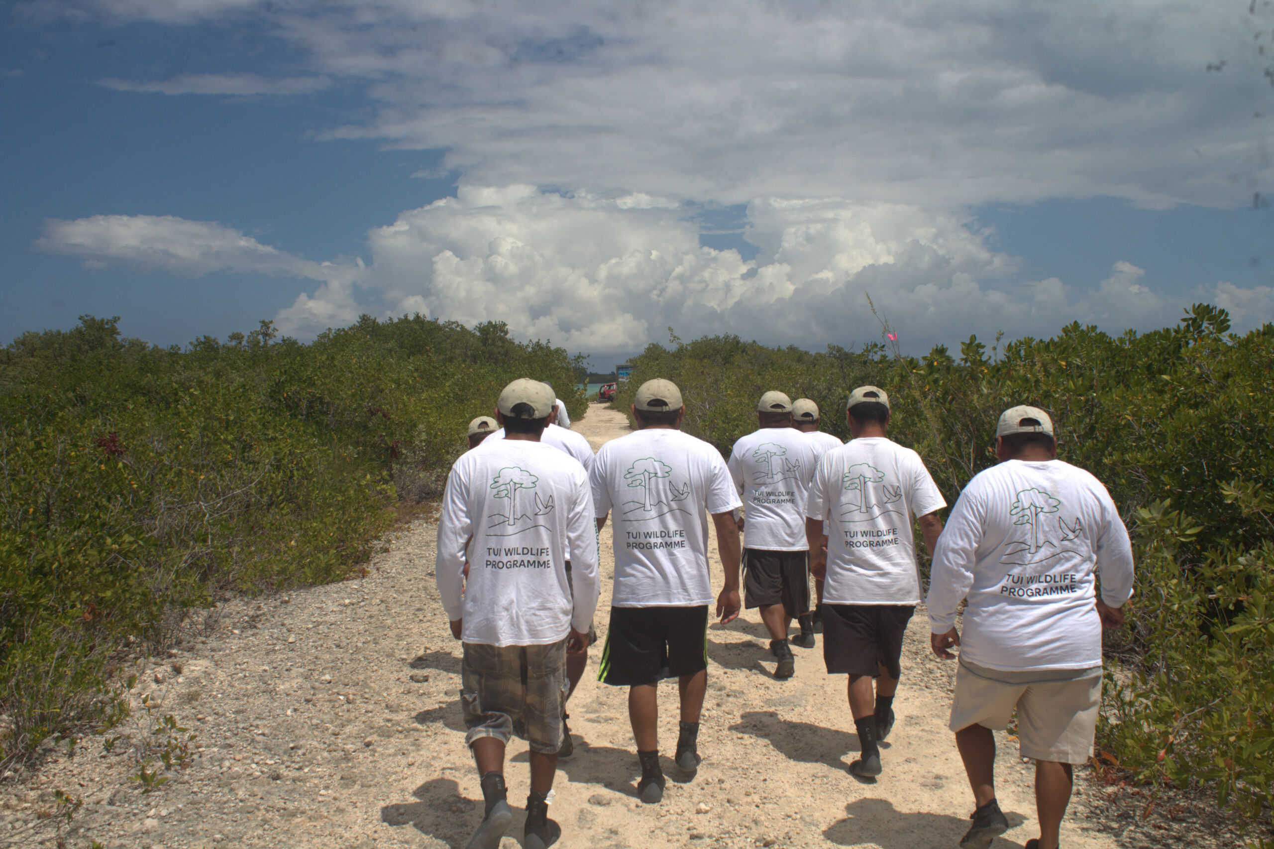 TUI Wildlife Mexico – Project team working on the field