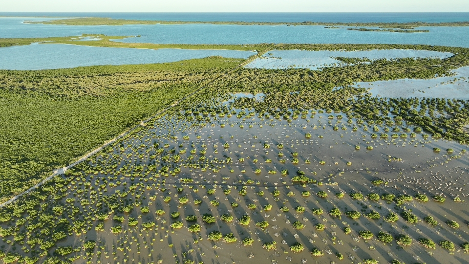 TUI Wildlife Mexico – overview of project area in the Biosphere Reserve